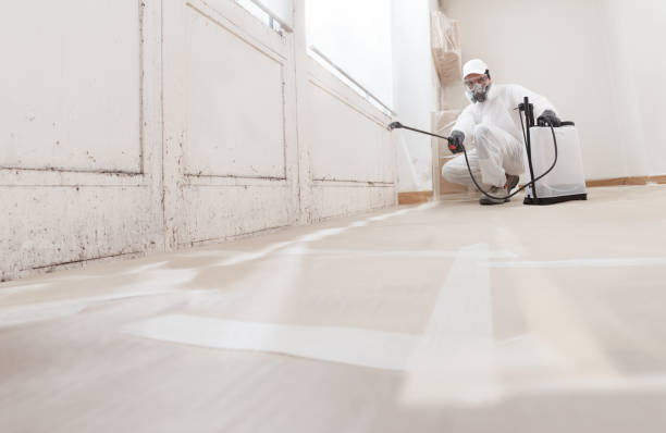 24/7 Emergency Attic Mold Remediation experts in Wellesley, MA